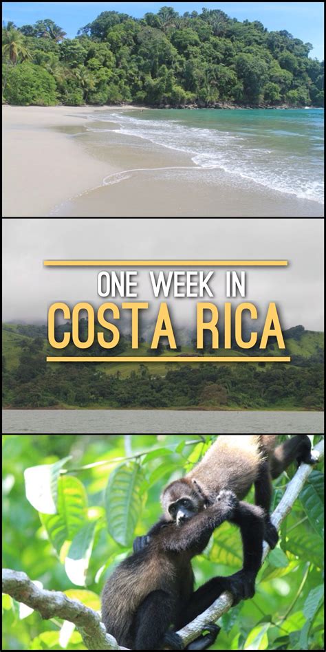 I Spent A Week In Costa Rica From The Cloud Forests Of The Interior To
