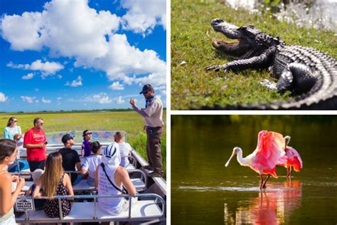 18 Best Everglades Airboat Tours From Miami And Orlando 2020