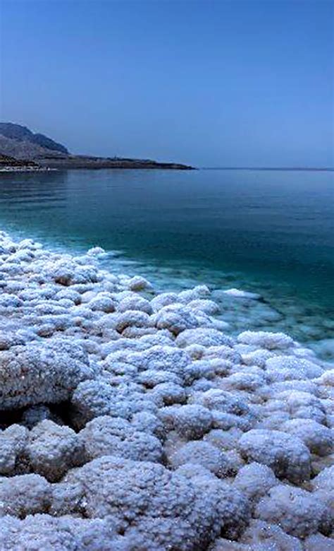 Dead Sea Minerals Montaser