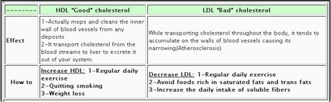 Cholesterol Hdl Ldl Ratioheart Disease Risk