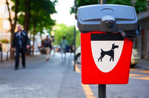 Calgary zoo veterinary hospital 873 km. Your pet's environmental "pawprint" | Neighbourhood Pet Clinic