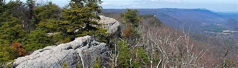 About Lookout Mountain Conservancy