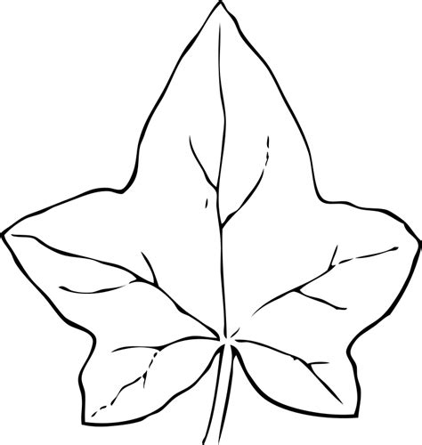 lear Colouring Pages