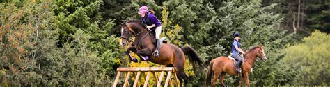 Maybe you would like to learn more about one of these? How Much Does Horse Riding Cost? | Horse Riding Network