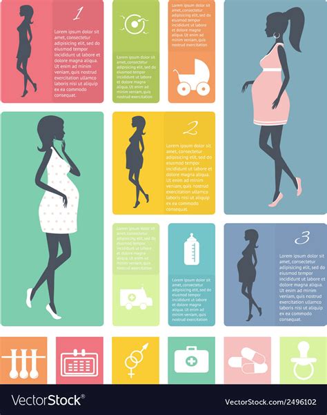 Pregnancy And Birth Infographics Stages Royalty Free Vector