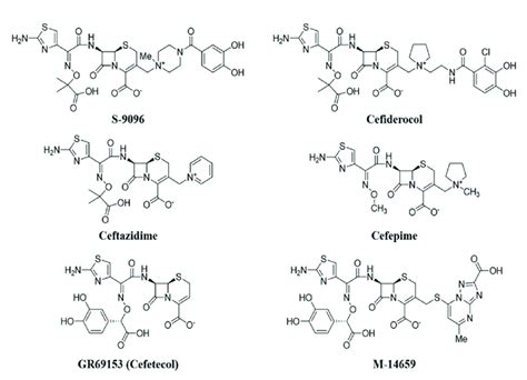 Structures Of Different Cephalosporins Conjugated With Siderophores