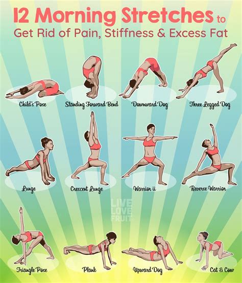 Morning Stretches Woodsigns Yoga Routine Easy Yoga Workouts
