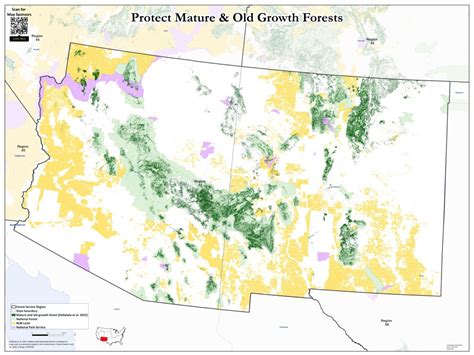 Mature And Old Growth Forest Maps Wildearth Guardians