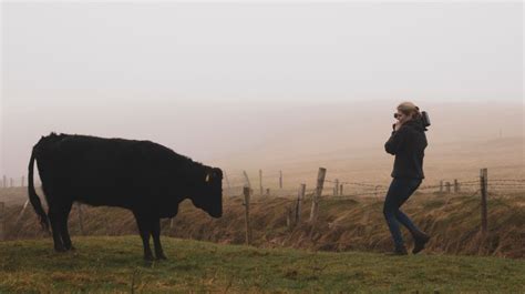 Mieke Vanmechelen Reflects On Her Kerry Cattle Journey To Celebrate The