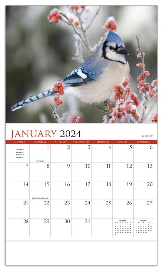 Songbirds Appointment Calendar Stapled Koozie Group