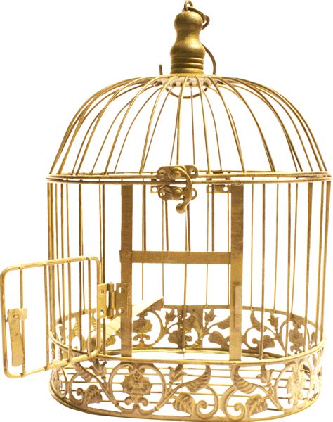 Cage Bird Png Transparent Image Download Size 1499x1900px