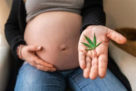 Is It Safe To Use Cannabis While Pregnant