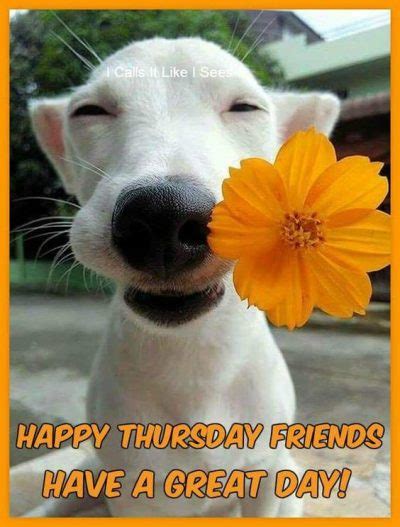 80 Funny Thursday Memes Images Pictures And Photos