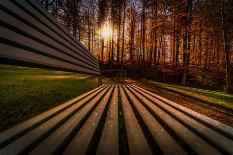 All my premade backgrounds are made with purchased and personal resources unless otherwise stated. Trees Sunbeams View Bench 5k, HD Nature, 4k Wallpapers ...