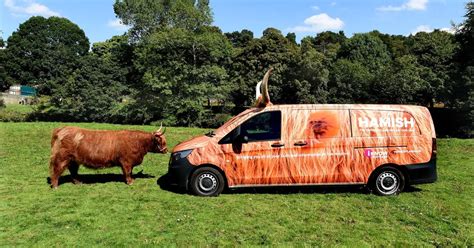 Highland Cow Camper Vans Park Up In Glasgow In A Bid To Boost National