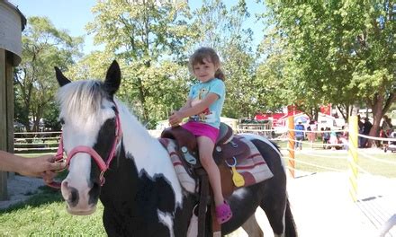 Green meadows petting farm has everything you might want out of a fun, farm experience in rural wisconsin! Green Meadows Petting Farm - East Troy, WI | Groupon