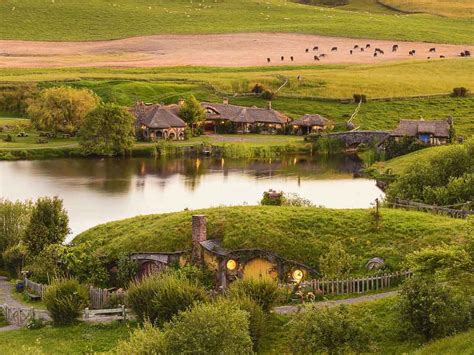 Hobbiton Tour With Lunch From Auckland With Bush And Beach