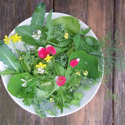 10 Edible Wild Flowers The Loven Life