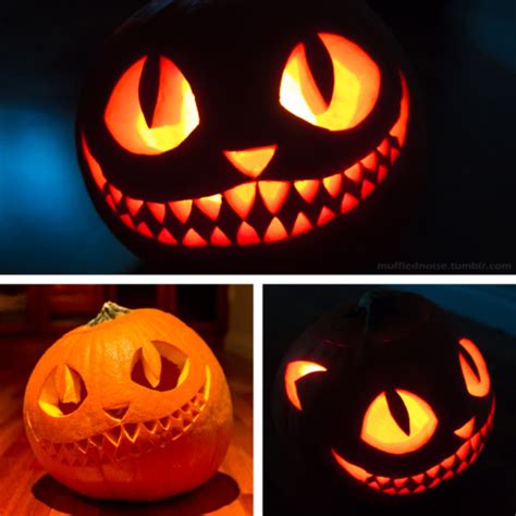 11 Awesome Cat Pumpkin Carving Ideas