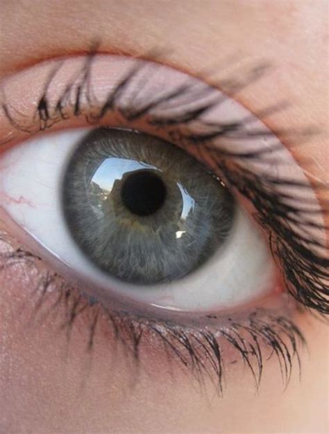 7 Rarest And Unusual Eye Colors That Looks Unreal Photos Of Eyes