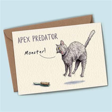 Aug 12, 2021 · the apex fuel card program, with help from our fuel card partner transconnect services (tcs), is a comprehensive fuel card for trucking companies large or small. Apex Predator Cards Set | Funny Cats Cards Set | Bewilderbeest