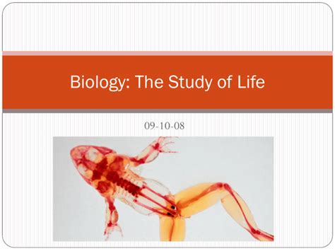 Biology The Study Of Life