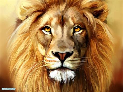Leo The Lion Cat Big Lion Animal Hd Wallpaper Peakpx