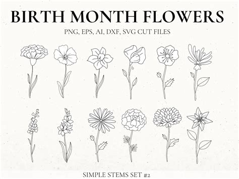 Birth Month Flower Svg Bundle Hand Drawn Flower Flower Etsy Espa A