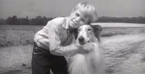Jon Provost Aka Little Timmy From Lassie Is All Grown Up And Still Loves Lassie Inner Strength