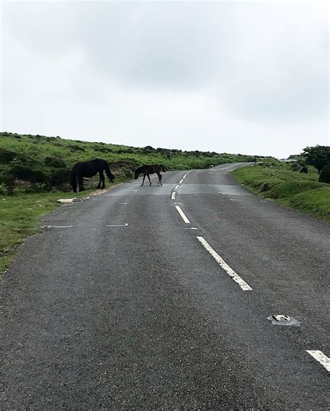 Dartmoor Cycling — My First Solo Day Out On Uk Soil By Jojo Obrien