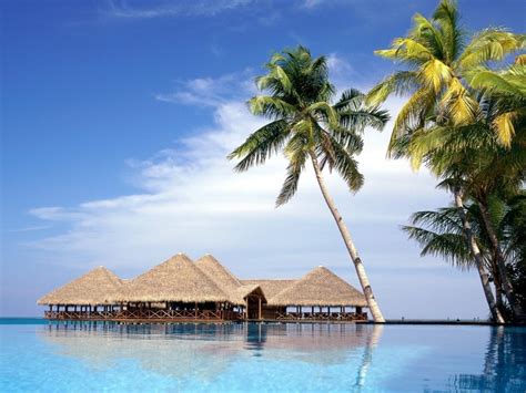 1600x1200 Maldives Resort Palm Trees Arbors Water Sky Wallpaper