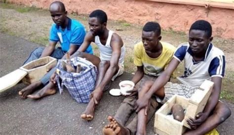 Heartbreaking Confession Of 4 Ritualists Arrested With Fresh Human