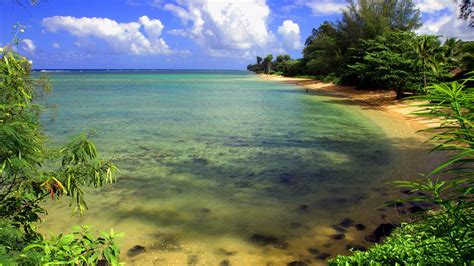1920x1080, Windows 7 Hd Nature Greatb Wallpapers - Windows Background