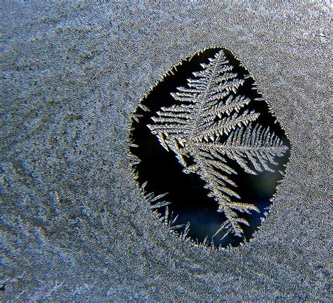 Ice Crystal In A Capsule Photoholic1 Flickr