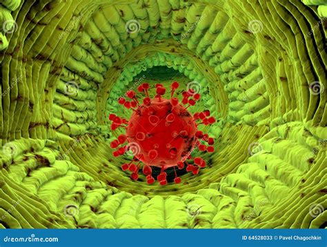 Inside Human Organism View Virus In Organism Stock Image Image Of