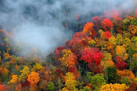 Gatlinburg Fall Colors Forecast And Foliage Report 2023
