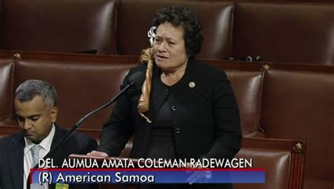 Aumuas Air Service Bill Passes House Us Representative Aumua Amata