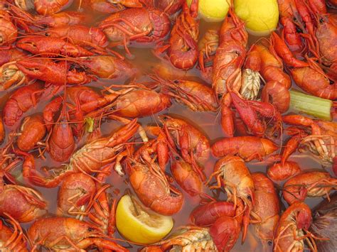 New Orleans French Quarter Cajun Food Seafood By Art504 Photograph by
