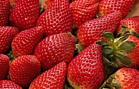 Strawberries Red Cute Free Photo On Pixabay Pixabay