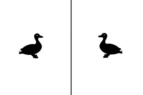 Duck typing in computer programming is an application of the duck test—if it walks like a duck and it quacks like a duck, then it must be a duck—to determine whether an object can be used for a particular purpose. Composition-Balance-Duck-Cat-Meow-1 - Sweet Drawing Blog
