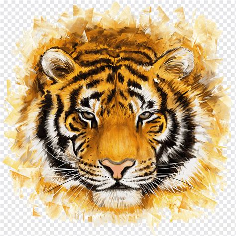 Bengal Tiger Felidae Painting Illustration Tiger Mammal Cat Like