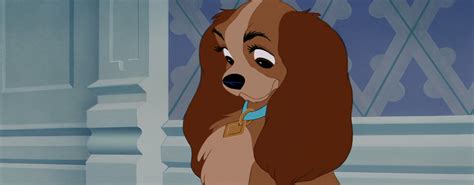 Pour fêter l'événement, il l'invite à dîner chez tony, un restaurateur italien réputé pour ses spaghettis et ses sérénades pour amoureux. Les personnages dans "La Belle et le Clochard". | Disney-Planet