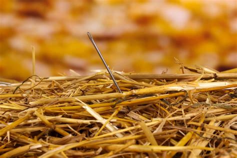 finding the needle in the haystack startup simplifies legal ediscovery startup daily