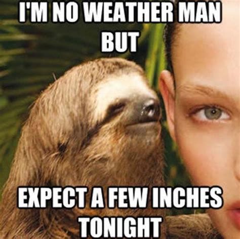 Thankyou For Laughing Lets Take A Minute To Enjoy Some Creepy Sloth