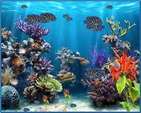 Fish Tank Screensaver Marine Aquarium