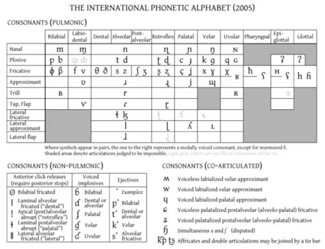 International Phonetic Alphabet IPA Chart Diagram Poster Art Print
