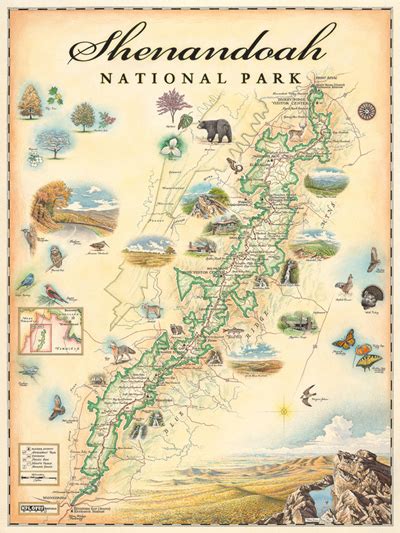 Shenandoah National Park Map Print Shenandoah National Park Association