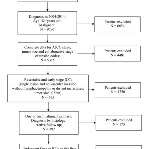Flowchart Of Patients Selection Ajcc American Joint Committee On