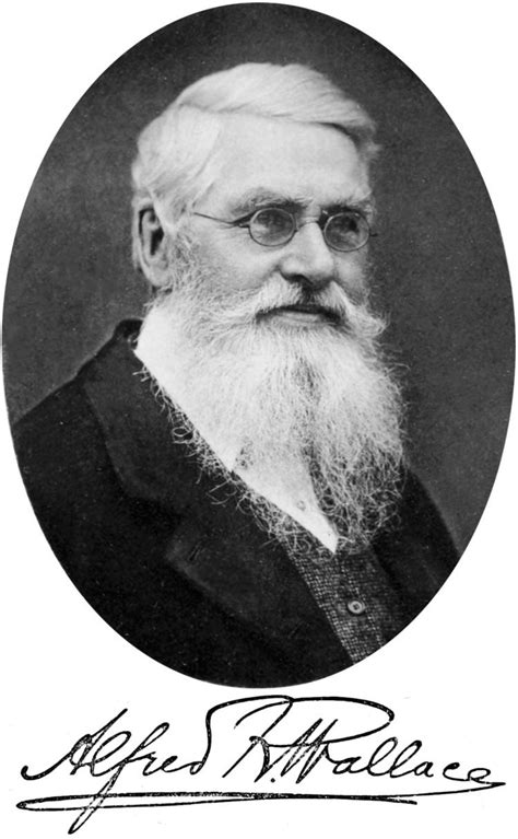 Alfred Russel Wallace Alchetron The Free Social Encyclopedia