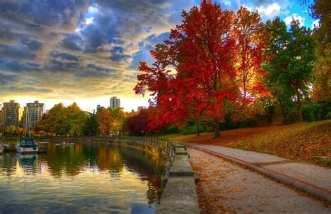 Best Places To See Fall Leaves In Vancouver Vancouver Attractions